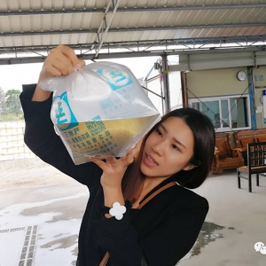 �@����������������ǵ؅^����90%�ĳɹ��ʣ�