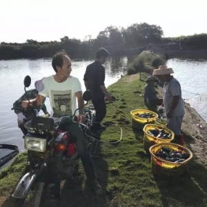 �f�r���ɾی��裡�Bʯ���B�m����ٍ���X