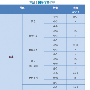 �����~�Ј��_ʼ������