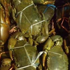 2017��11��22�պ��r������Ϣ��䏾���з�����O���r