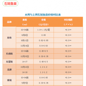 2-3��������đ�ϝq��1Ԫ/���11��23��ʯ���~����ʯ���r�񲥈�