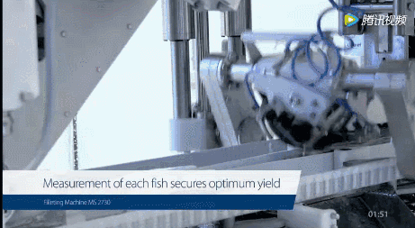 �����~�O������������a�ӹ���������ˣ�