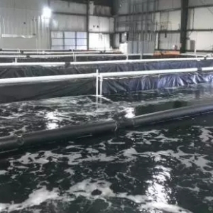 ���rѭ�hˮ�Bֳ�ܷ�������Bֳ������