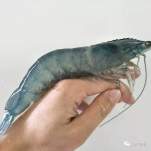 �N�r�^����ه�M�ڌ���ȫ�������B�r����׃����