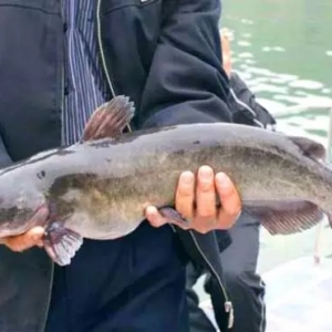 ʲô�ӵ��~��ُ�rֻҪ6Ԫ���е�ٍ��