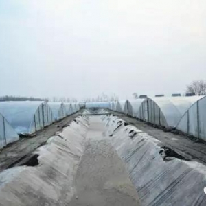 ����p���ƽ��B�r���D�Ρ��y�}��