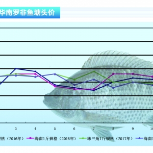 ʯ���~����������-2017�꡶ˮ�aǰ�ء�12�¿��Ј�څ��