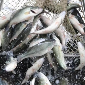 �V�|�����|4��q1.3Ԫ/����-2017��12��18�ռ����|���^�r