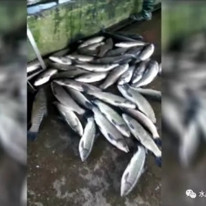 ��һ���£���ǧ����~���wĪ����������