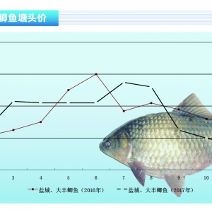 �a�~�����D(zhu��n)ֱ�� �����^�󡪡�ˮ�a(ch��n)ǰ�ء�2017��12�¿��Ј�څ��(sh��)