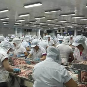 Խ�ϰ�ɳ�~ԭ�Ϲ���ì��͹�@���^(gu��)�빤�S��ͣ����