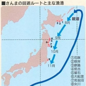 �ձ������~�ĵĲ�ֹ�ﵶ�~�����~�����~...