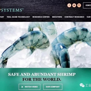 ׌��څ֮���F���@�B(y��ng)�r�Ј���ʲôħ����