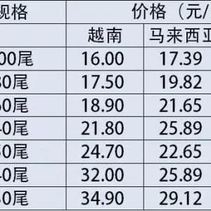 �������@�o�������r���r�߃r��Ԫ����