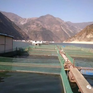 �o���������Ĵ��ٲ��ϾW(w��ng)�����ڼ���