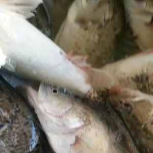 ���K����ѩ��·��6��6ҹ�´������~��