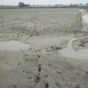 8��׌��з�Bֳ�A�����ܾ��ϣ�