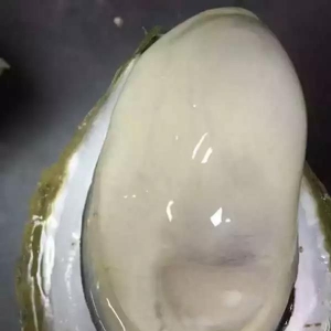 2018��1��15�պ��r������Ϣ�����������ϖ�����_˹���O���r