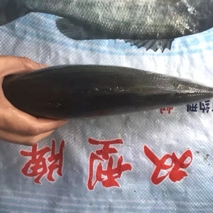 ��ʡ�ݼ����|�����н����B��ϧ�ۣ�