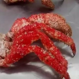 2018��1��19�պ��r������Ϣ��Խ�ϰ�ɳ�~�����~�K������ѩз��