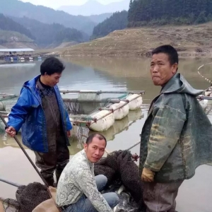 ��������������~���a50�f��/�꣬�����������f�ģ�