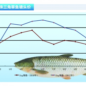 ���~�����л�����������ˮ�aǰ�ء�2017��12�¿��Ј�څ��