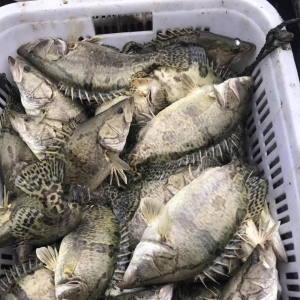 ��ѩ����ȫ���Z�~�������w�j��3-6Ԫ/�