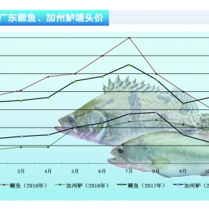 �Z�~����ʡ��ͬ�̶��µ��V�|�������ϡ���ˮ�aǰ�ء�2017��12�¿��Ј�څ��