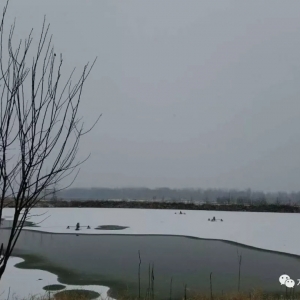 ȫ���־Ð�����⣬ˮ�a(ch��n)�B(y��ng)ֳ���R������򞣡