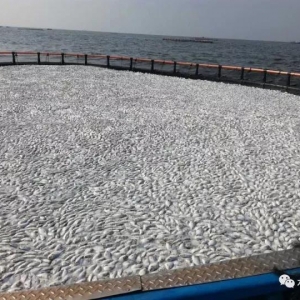 ���K�B(y��ng)�����ǁ��ˣ�����С���x�W(w��ng)�䌢����