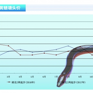 �S�X���B��ϧ����ǰ�r���������-��ˮ�aǰ�ء�2018��1�¿��Ј�څ��