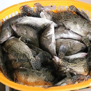 ���������L�U���Z�~ÿ�������ɸ��_12Ԫ��С��������ǝq�rǰ�࣡