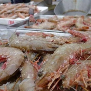 �����������r�Σ����r��Y�����������r�ɞ��N�����ǣ�