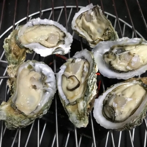 Ʒ�y�T�����a��������ϖ�u�r���