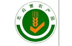 �o�~�r���@���C���J�C���̴��s�̣�