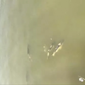 ��������ˮù�����񷴹����_������ѩ����̿