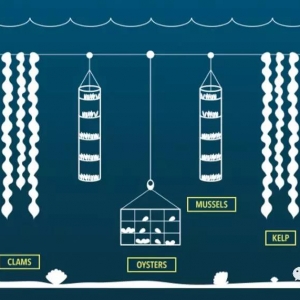 ����ġ�3D�����r������ʲô���أ�