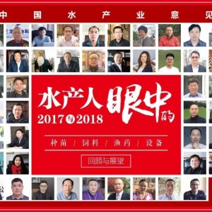 ��ƽ�����Գֲ����2018�꺣ˮ�ό���Ů���