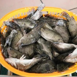 2018��2��12�չ��~���^�r���麆��--؛Դ���㣬�~�r���в���