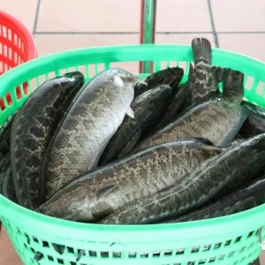 2018��2��12�����~(y��)���^�r(ji��)���麆(ji��n)��--�r(ji��)����m(x��)�ϝq�����鱻����