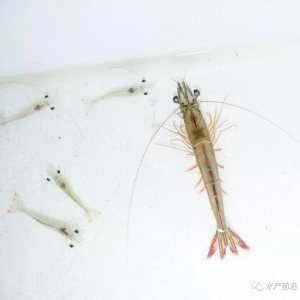 �@�N�r�Ѓr�����׌��r����ɰ��r�����Ʒ�N��