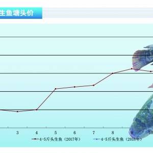 ���~(y��)�����~(y��)��λ�\(y��n)�����~(y��)���Ј�(ch��ng)��������ˮ�a(ch��n)ǰ�ء�2018��2�¿��Ј�(ch��ng)څ��(sh��)