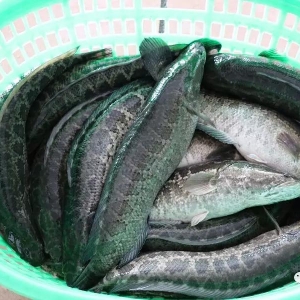 2��26�����~(y��)�����r(ji��)