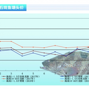 ʯ���~����(ji��)�����M�����Ӄr����m(x��)�ϝq-��ˮ�aǰ�ء�2018��1�¿��Ј�څ��