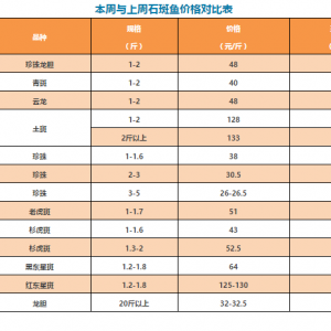 ʯ���~��r(ji��)�ߡ��~�уr(ji��)��Ȳ���(d��ng)�󣬘I(y��)��(n��i)��ʿ�@ô����