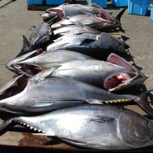 2018��3��5�պ��r������Ϣ�����r�{��/�S��/��Ŀ���~�����͜��{�����~���ش�t��з