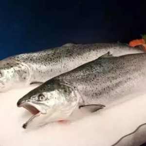 �����~�r��һ��һ׃����3��7-8�ո������l�Ј���r