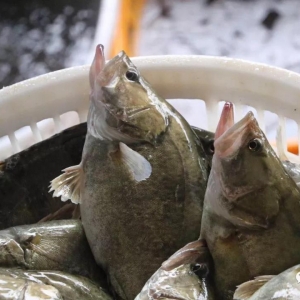 �V�|�Z�~����2018��ĵ�һ݆�������^ɽ܇����������m�Ё���