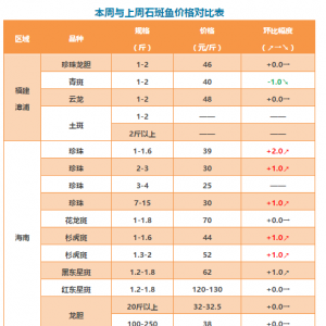 ���顢ɼ���ߡ��|�ǰ���ߝq2Ԫ��