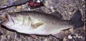 �Bֳ�ᳱ���࣬2018������|�Ј�څ����Σ�